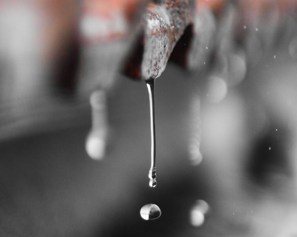pexels photo 8100262 8100262